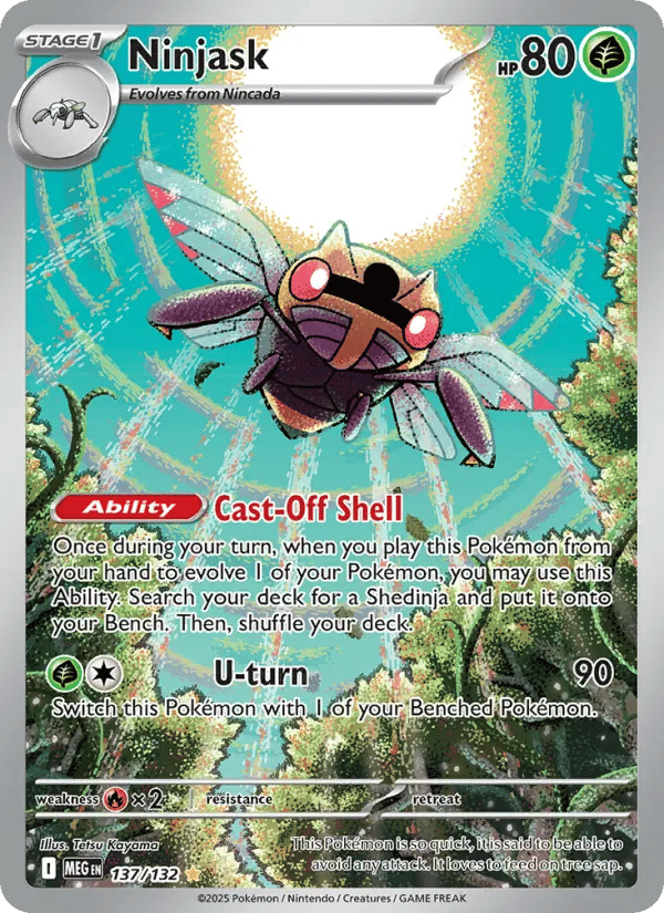 Ninjask