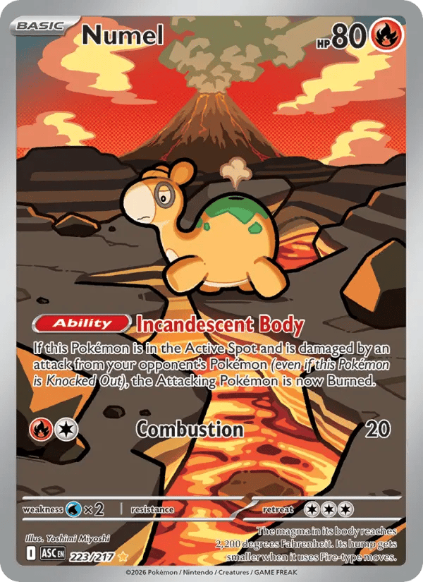 Numel