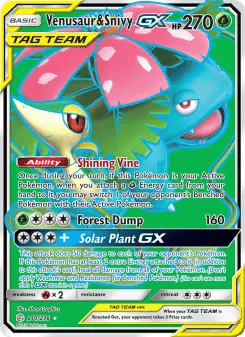 Venusaur & Snivy GX