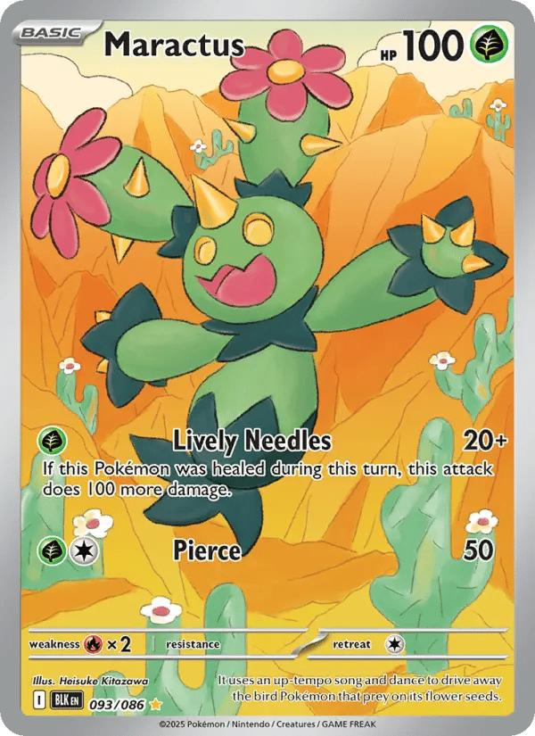 Maractus